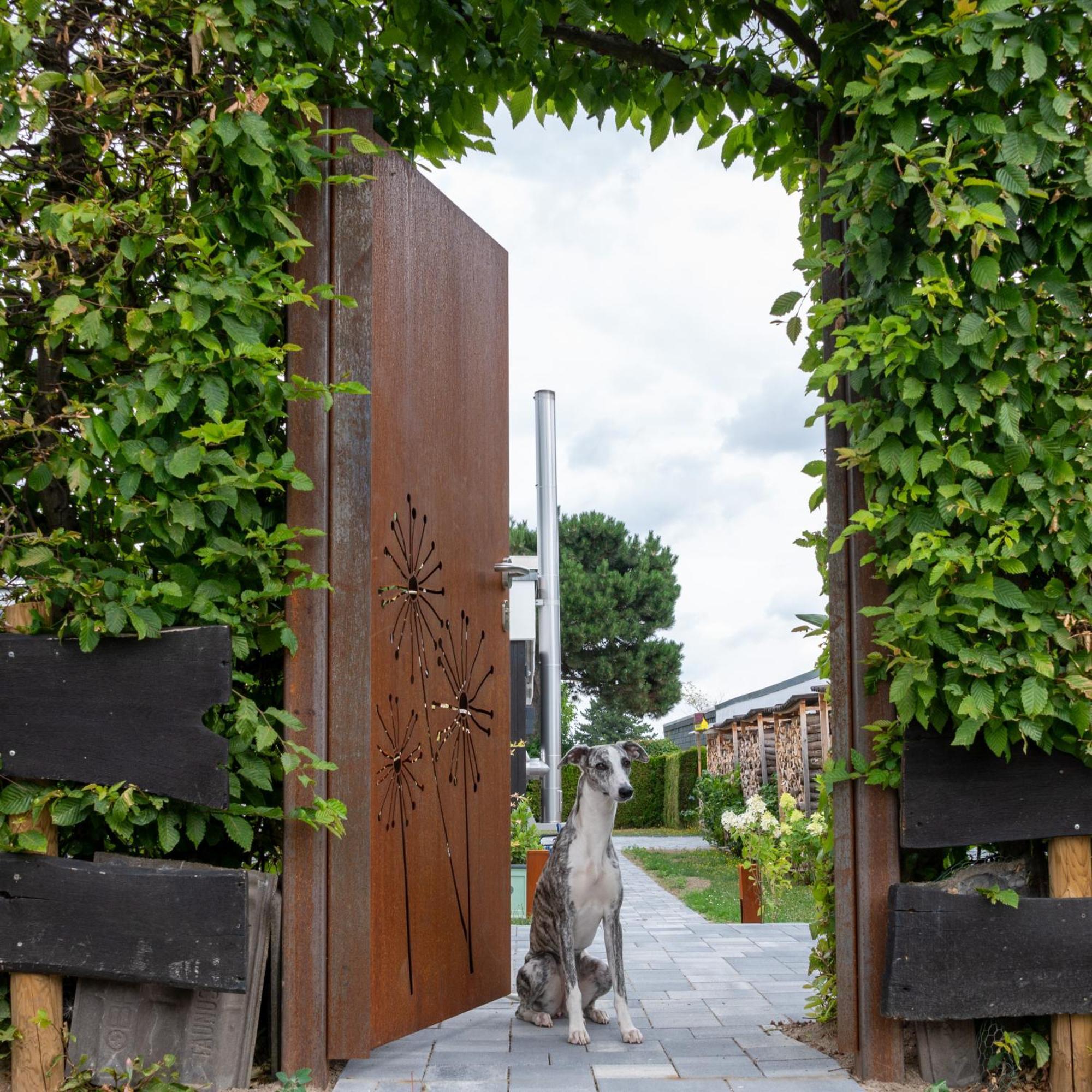 Birgits Lodge Rheinbach Dış mekan fotoğraf